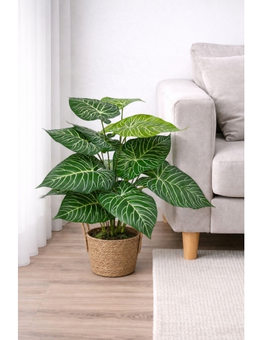 Alocasia artificial 65/70CM