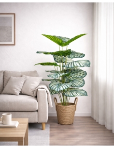 Calathea orbifolia artificial 110CM