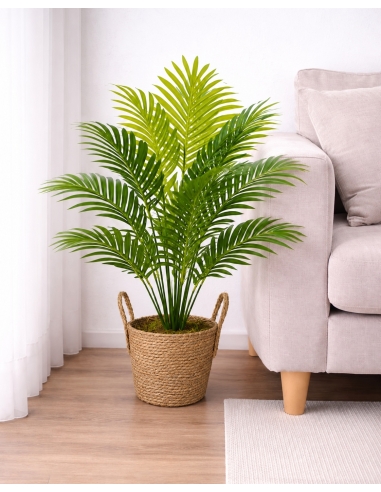 Dieffenbachia artificial  65/70CM