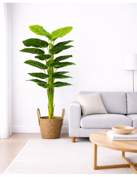 Anthurium artificial  170CM