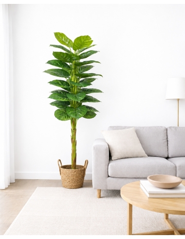 Ficus artificial  170CM