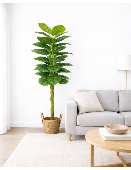 Ficus artificial  170CM