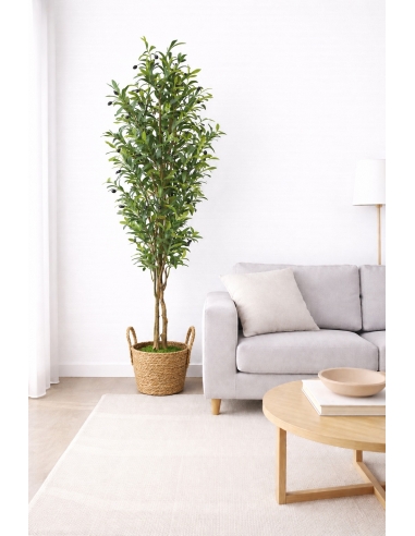 Olivo artificial 220CM