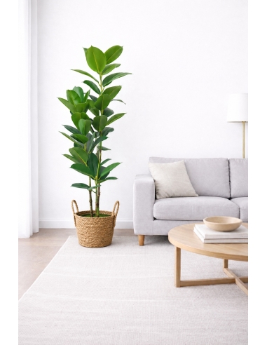 Ficus microcarpa artificial  170CM