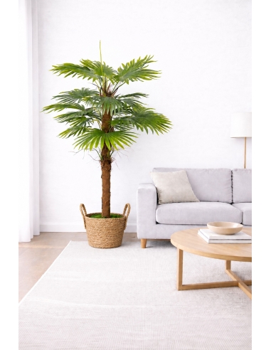 Palmera de abanico artificial  160CM