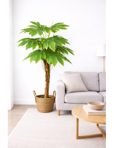 Palmera de hoja partida  140CM