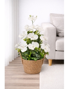 Phalaenopsis artificial blanco 65CM