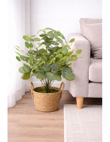 Eucalipto artificial  65/70CM