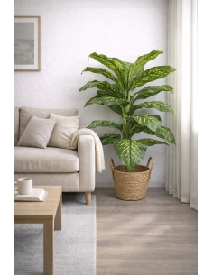 Dieffenbachia artificial  110CM