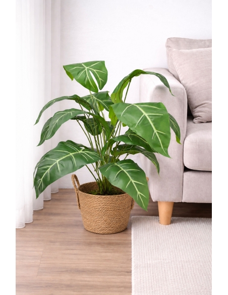 Alocasia artificial  65/70CM