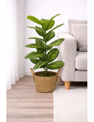 Dieffenbachia artificial 85CM