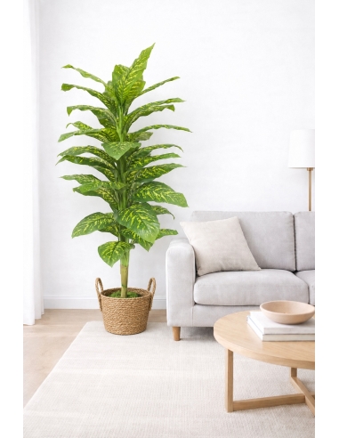 Dieffenbachia artificial 180CM