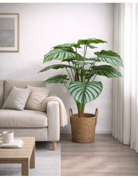 Calathea orbifolia artificial  90CM