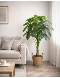 Pachira artificial  100CM