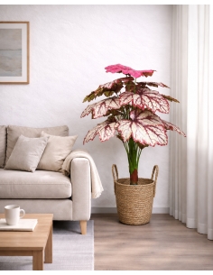 Heuchera artificial  90CM