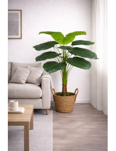 Strelitzia artificial 100CM