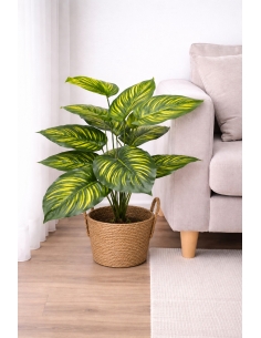 Caladium artificial  65/70CM
