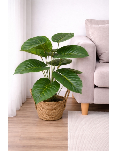 Philodendron artificial  65/70CM