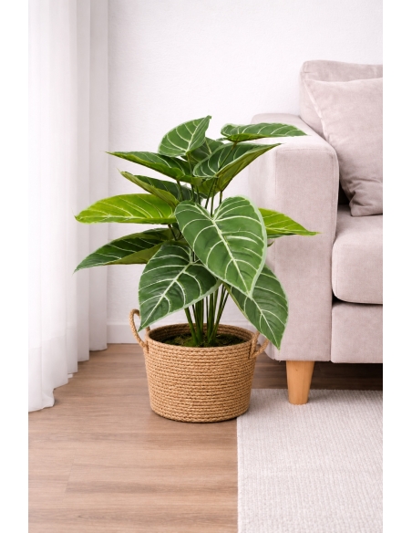 Alocasia artificial  65/70CM