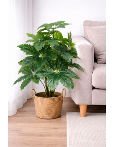 Fatsia japonica artificial  65/70CM
