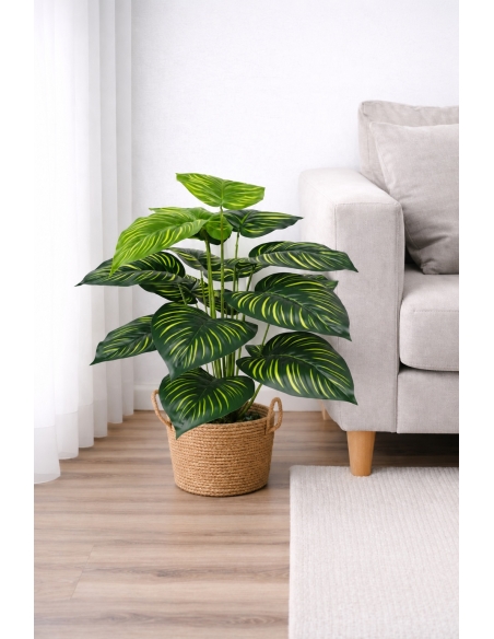 Dieffenbachia artificial 55CM