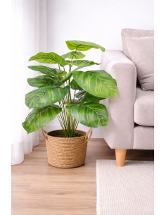 Calathea artificial 55CM