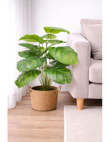Calathea artificial 55CM