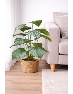 Calathea artificial 55CM