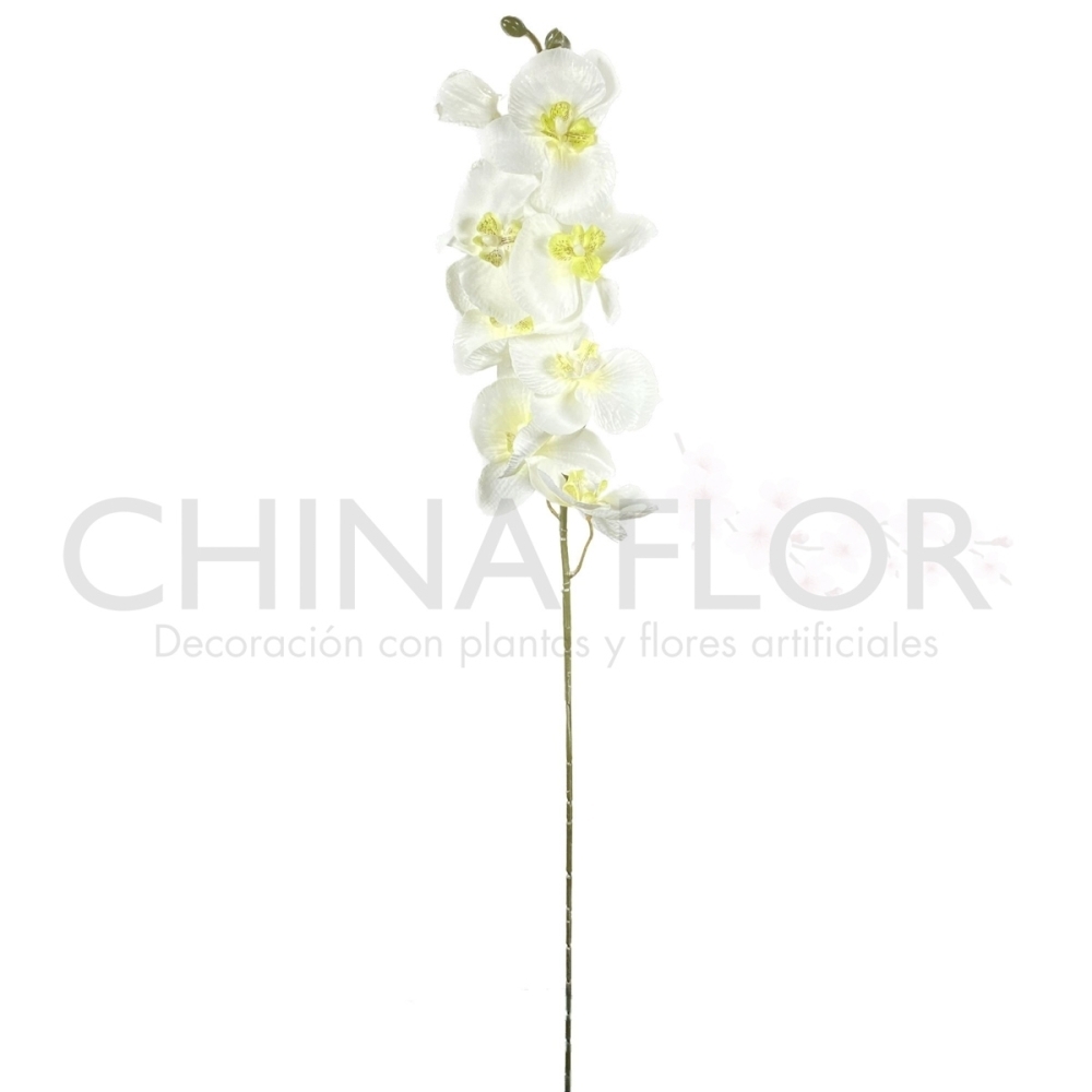 RAMAS ORQUIDEA 68CM