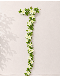 GUIRNALDA DE NARCISO BLANCA 1.9M