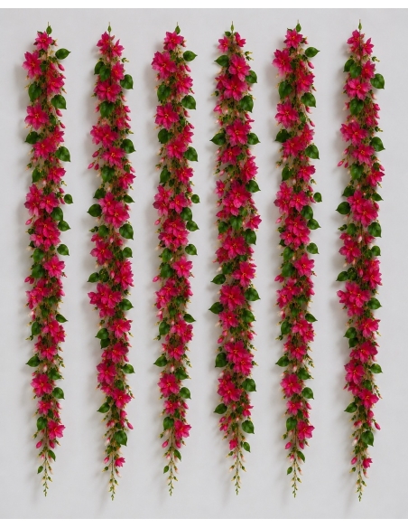 ENDERADERA BUGANVILIA