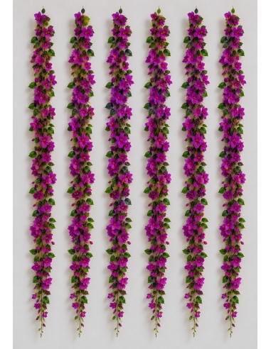ENDERADERA BUGANVILIA