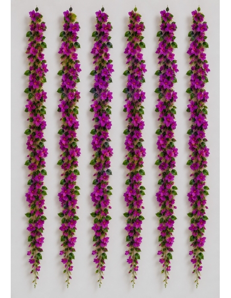 ENDERADERA BUGANVILIA