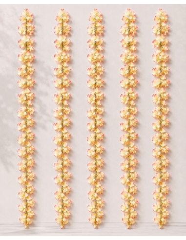XIANGBIN-ENREDADERAS 240CM