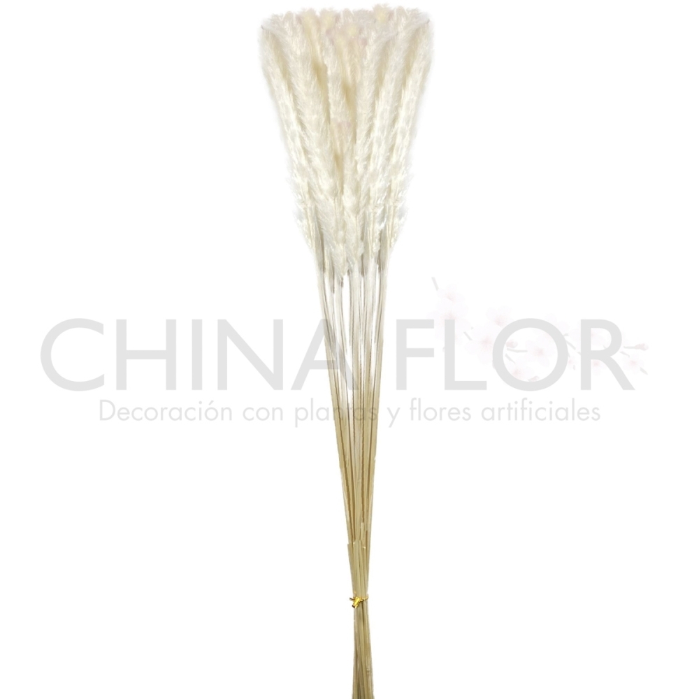 BAI-FLORES SECAS PLUMA 75CM