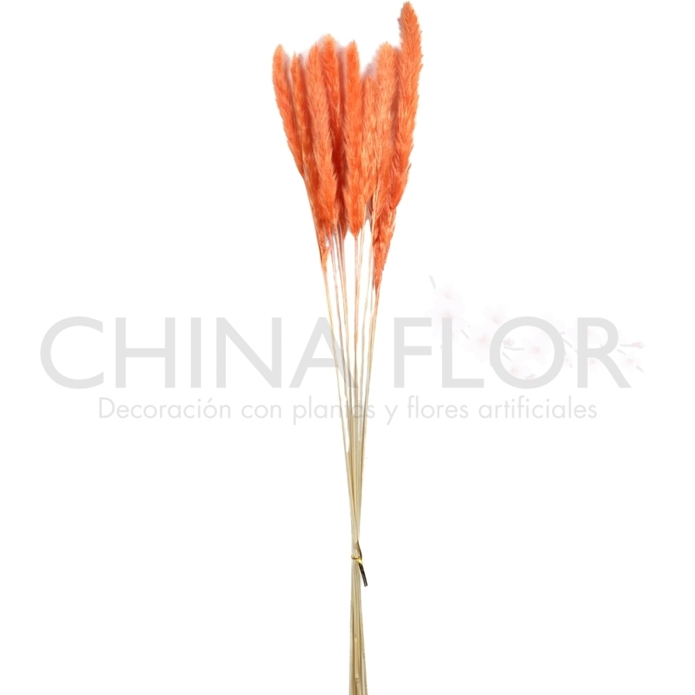 JU-FLORES SECAS PLUMA 75CM