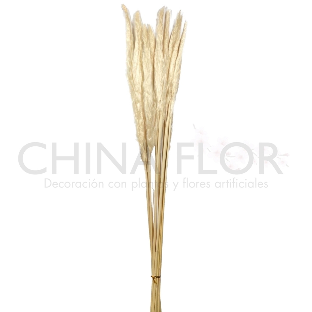 MISE-FLORES SECAS PLUMA 75CM