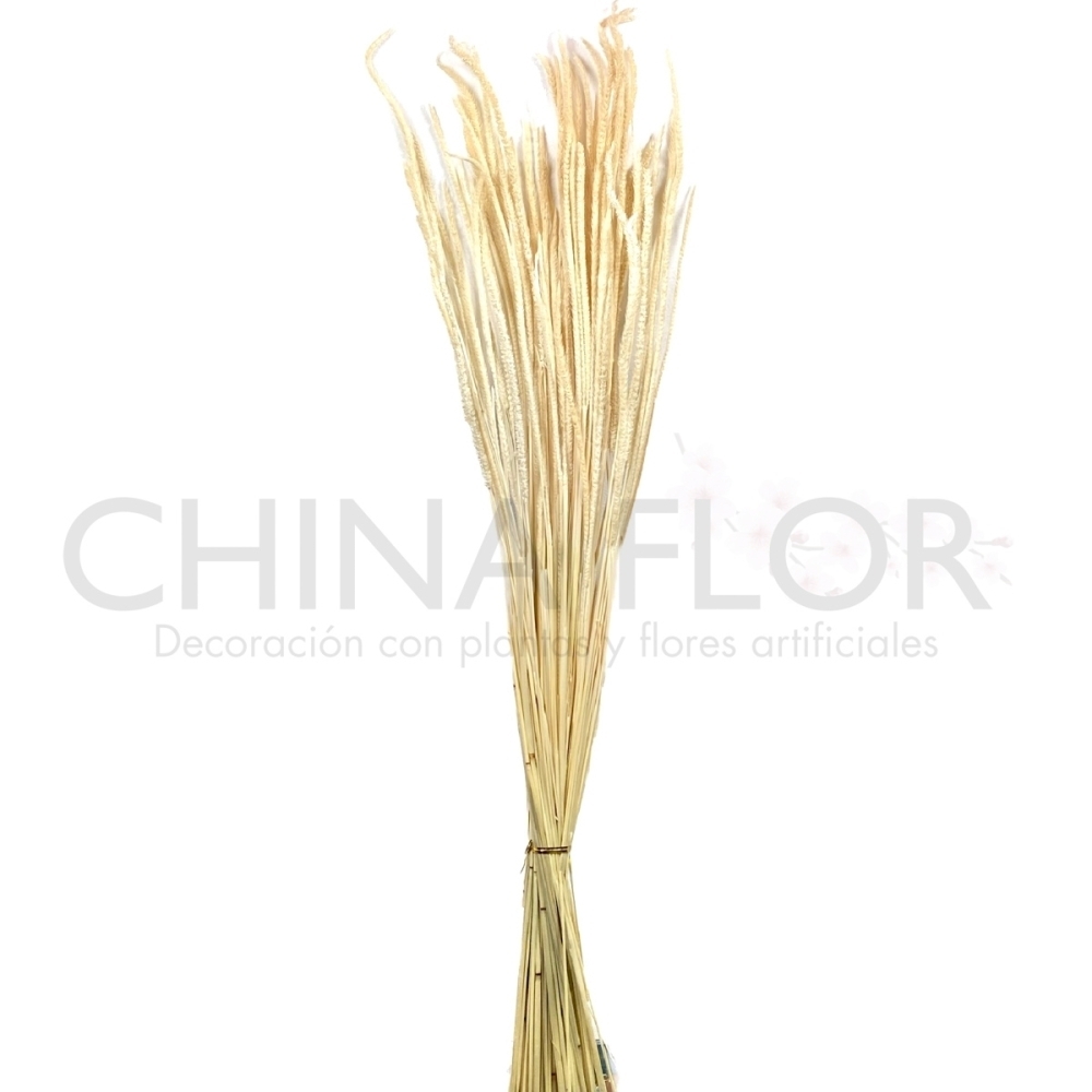 MISE-FLORES SECAS TRIGO 80CM