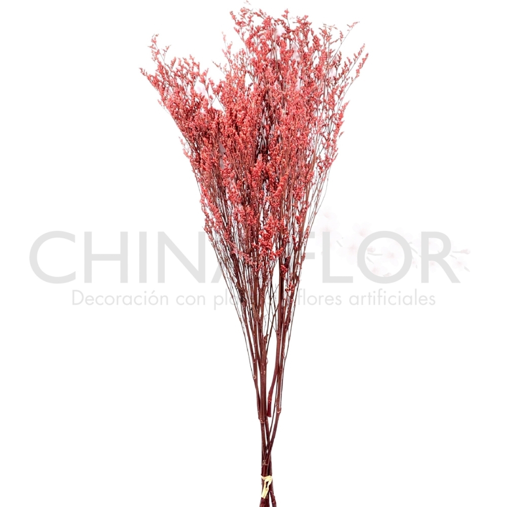 HONG-FLORES SECAS 80CM