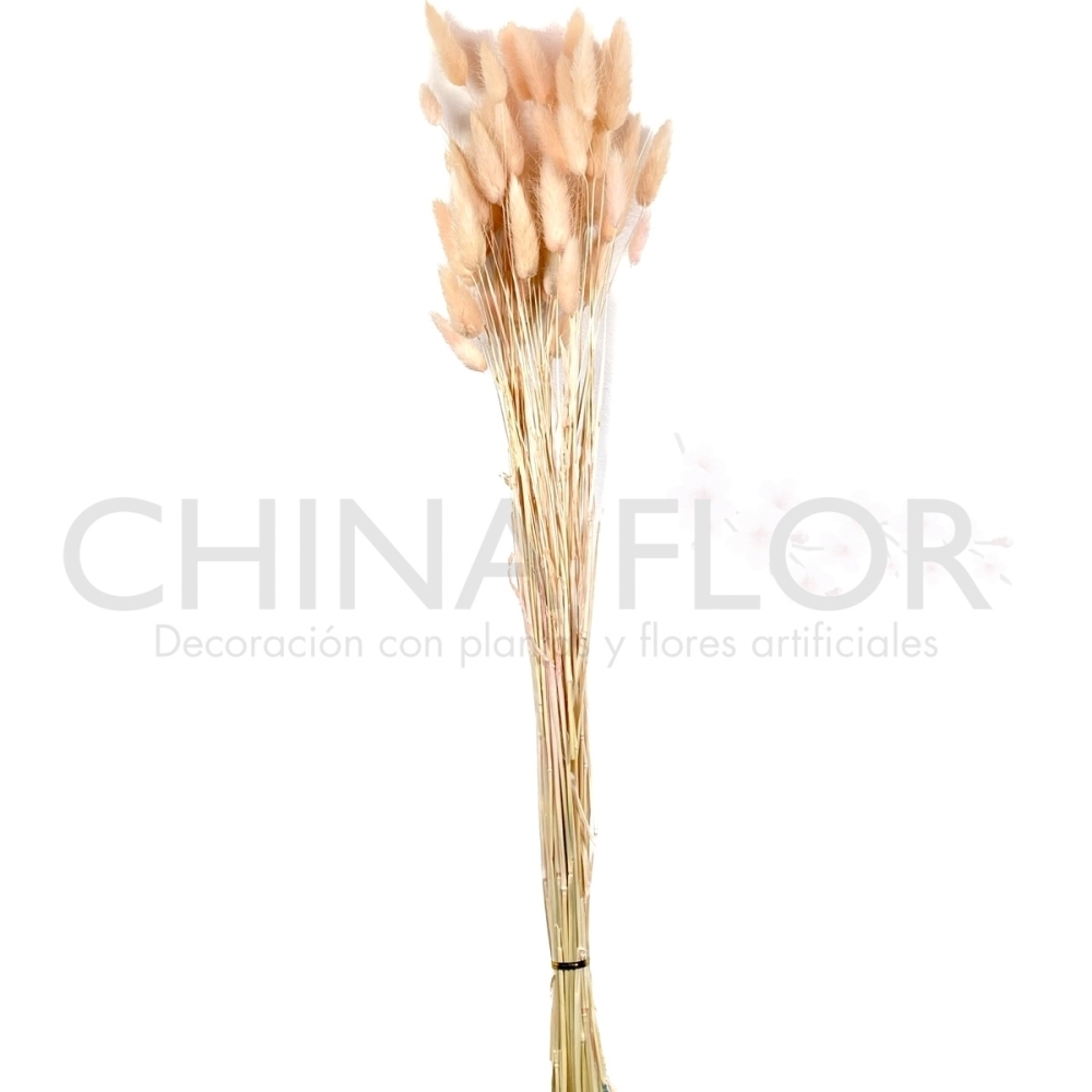 FEN-FLORES SECAS TRIGO 65CM