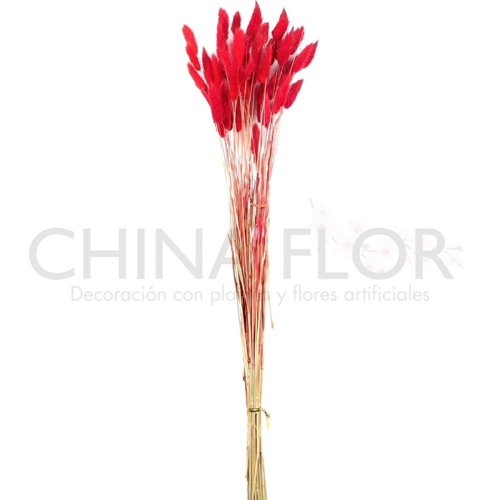 HONG-FLORES SECAS TRIGO 65CM