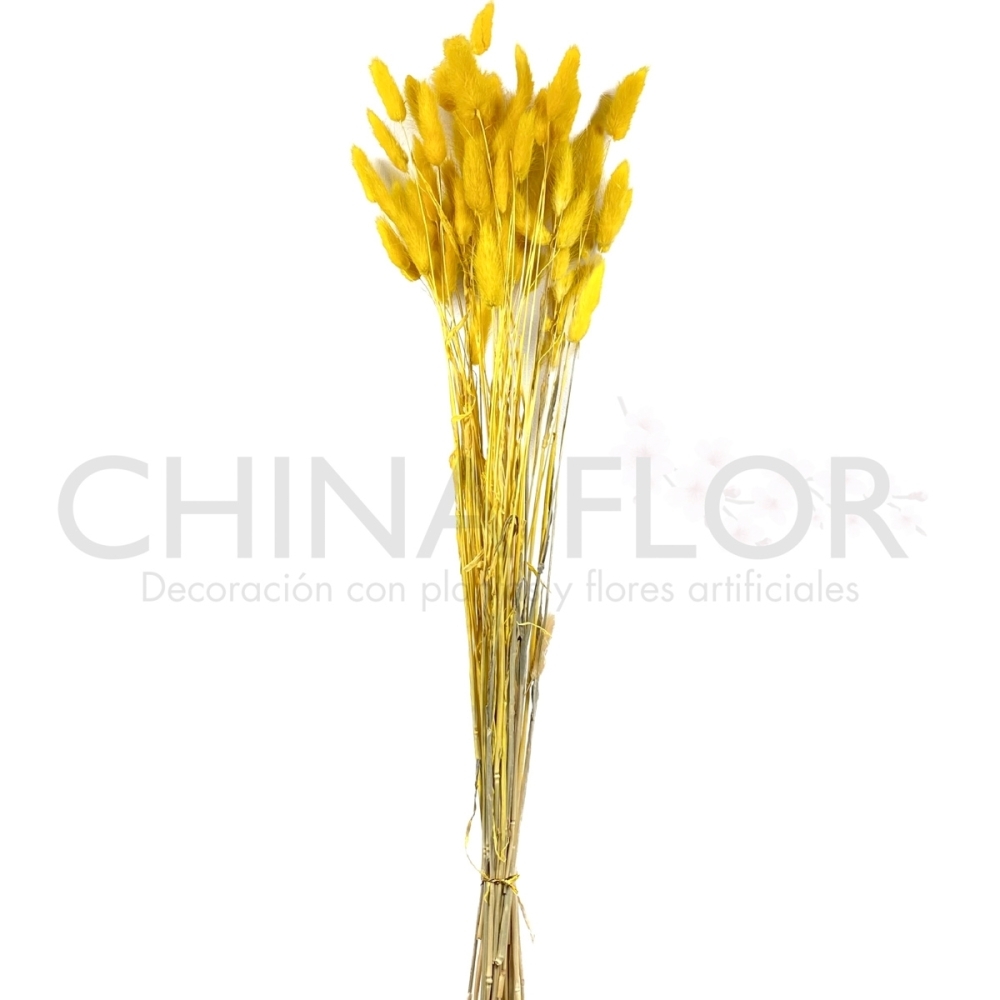 HUANG-FLORES SECAS TRIGO 65CM