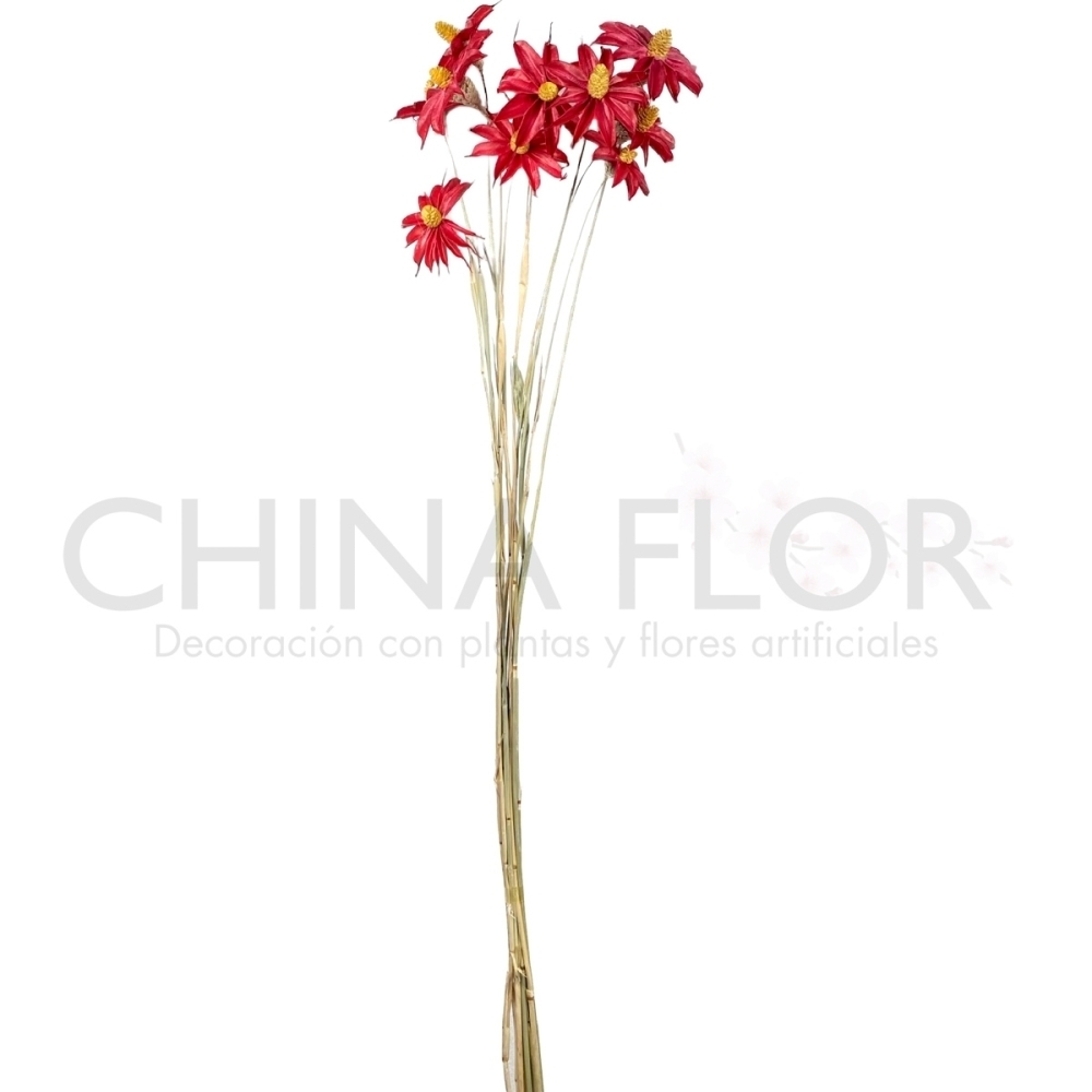 HONG-FLORES SECAS 67CM