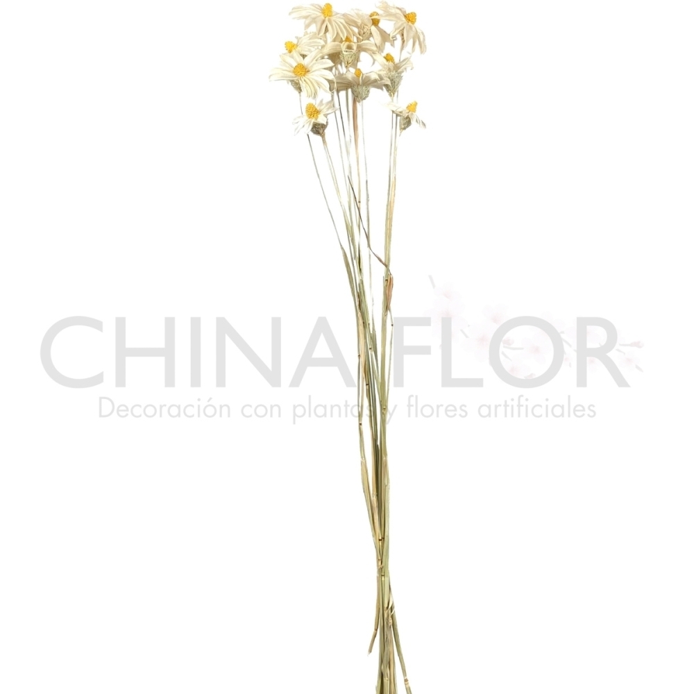 BAI-FLORES SECAS 67CM