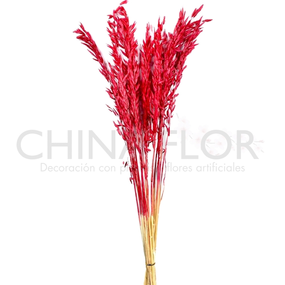 HONG-FLORES SECAS AVENA 80CM