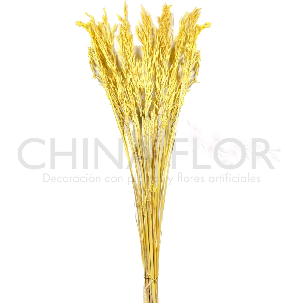 HUANG-FLORES SECAS AVENA 80CM