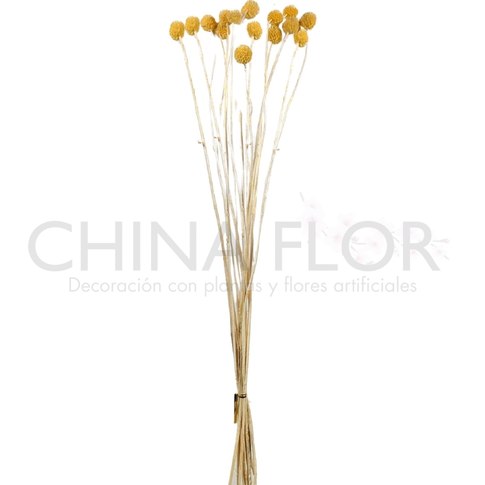 HUANG-FLORES SECAS BOLITA SECA 60CM