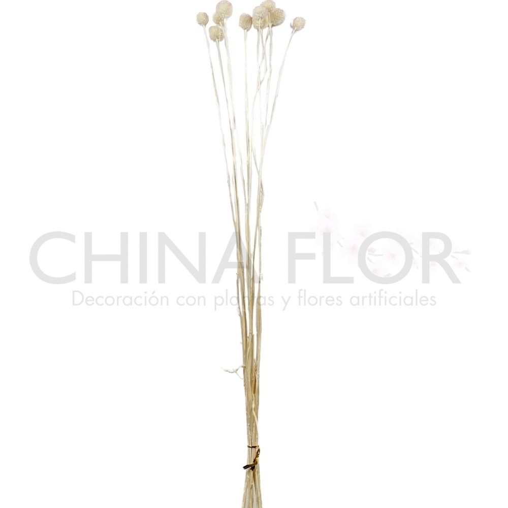 BAI-FLORES SECAS BOLITA SECA 60CM