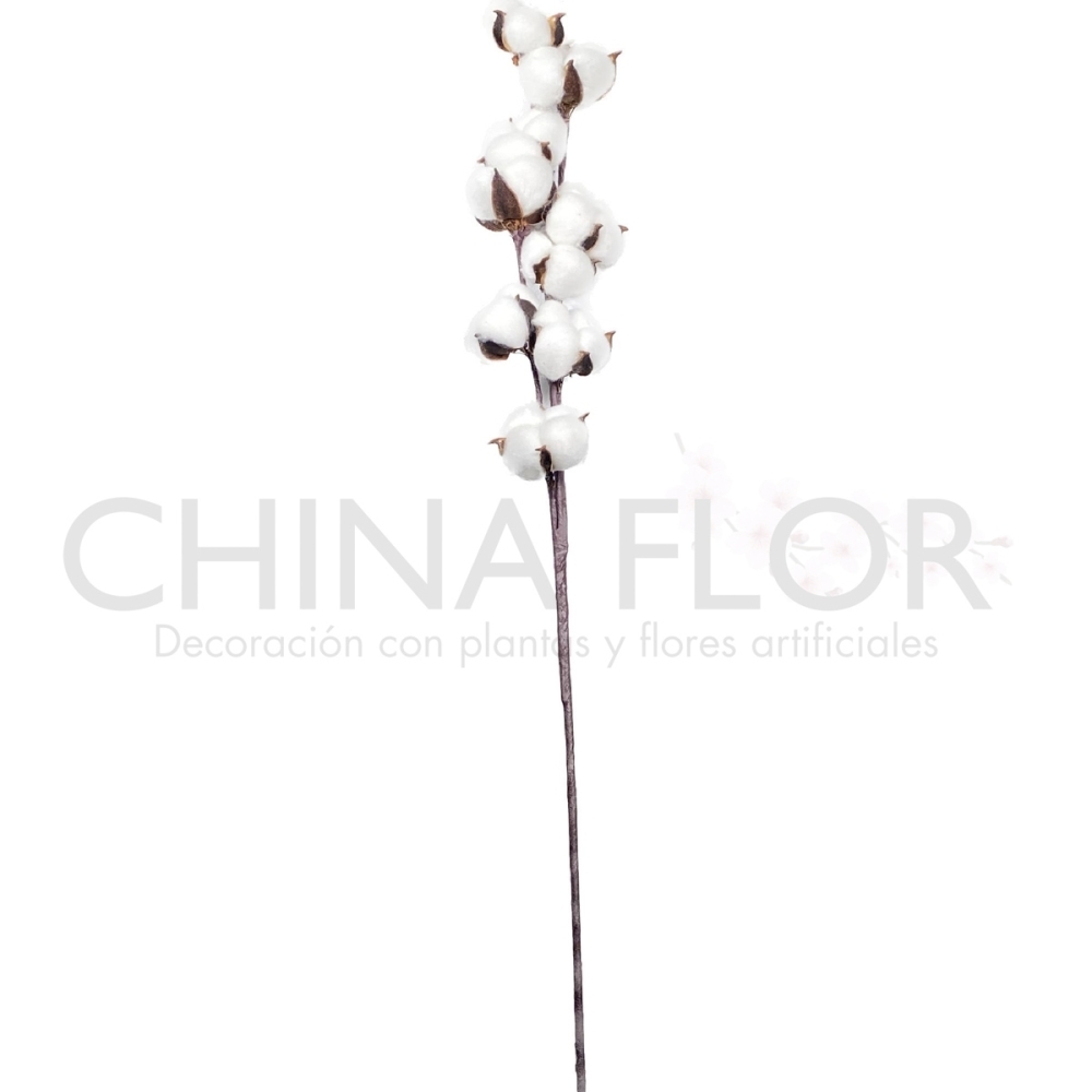 FLORES SECAS ALGODON 65CM