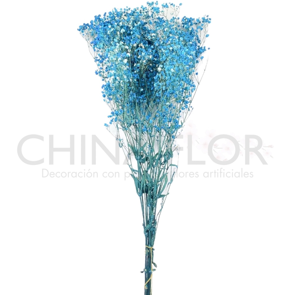 FLORES SECAS MOSQUITA 80CM